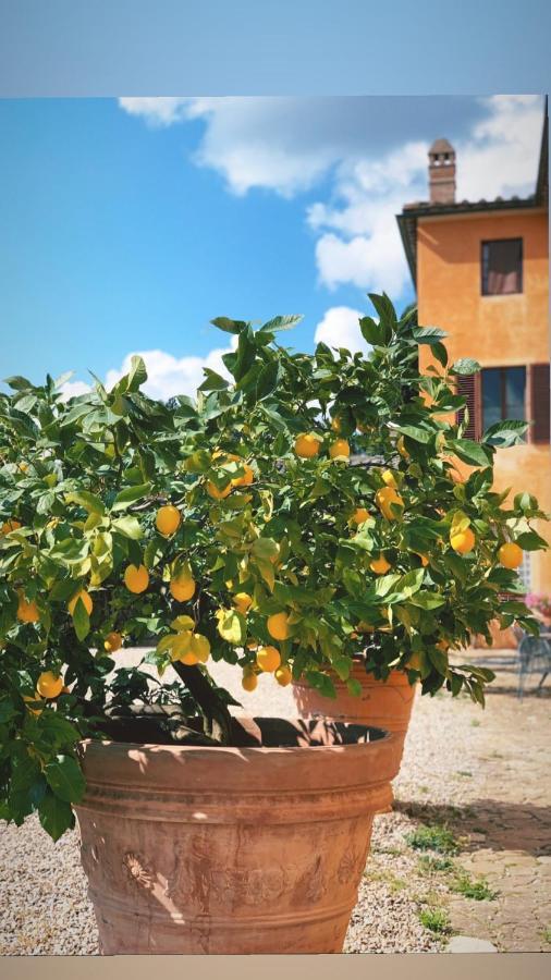 Fattoria Di Catignano Guest House San Giovanni  Екстериор снимка