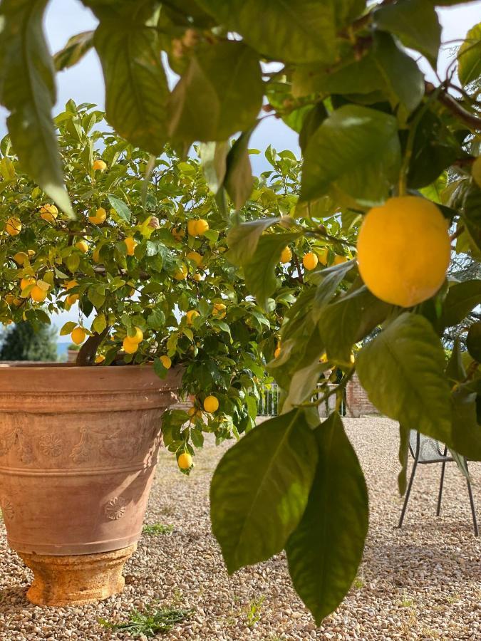 Fattoria Di Catignano Guest House San Giovanni  Екстериор снимка