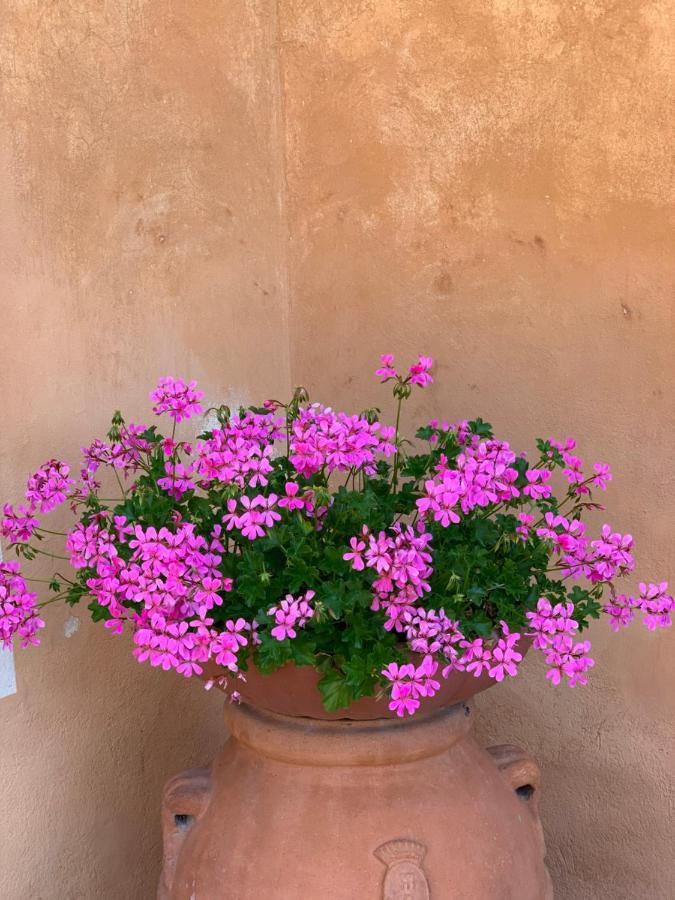 Fattoria Di Catignano Guest House San Giovanni  Екстериор снимка